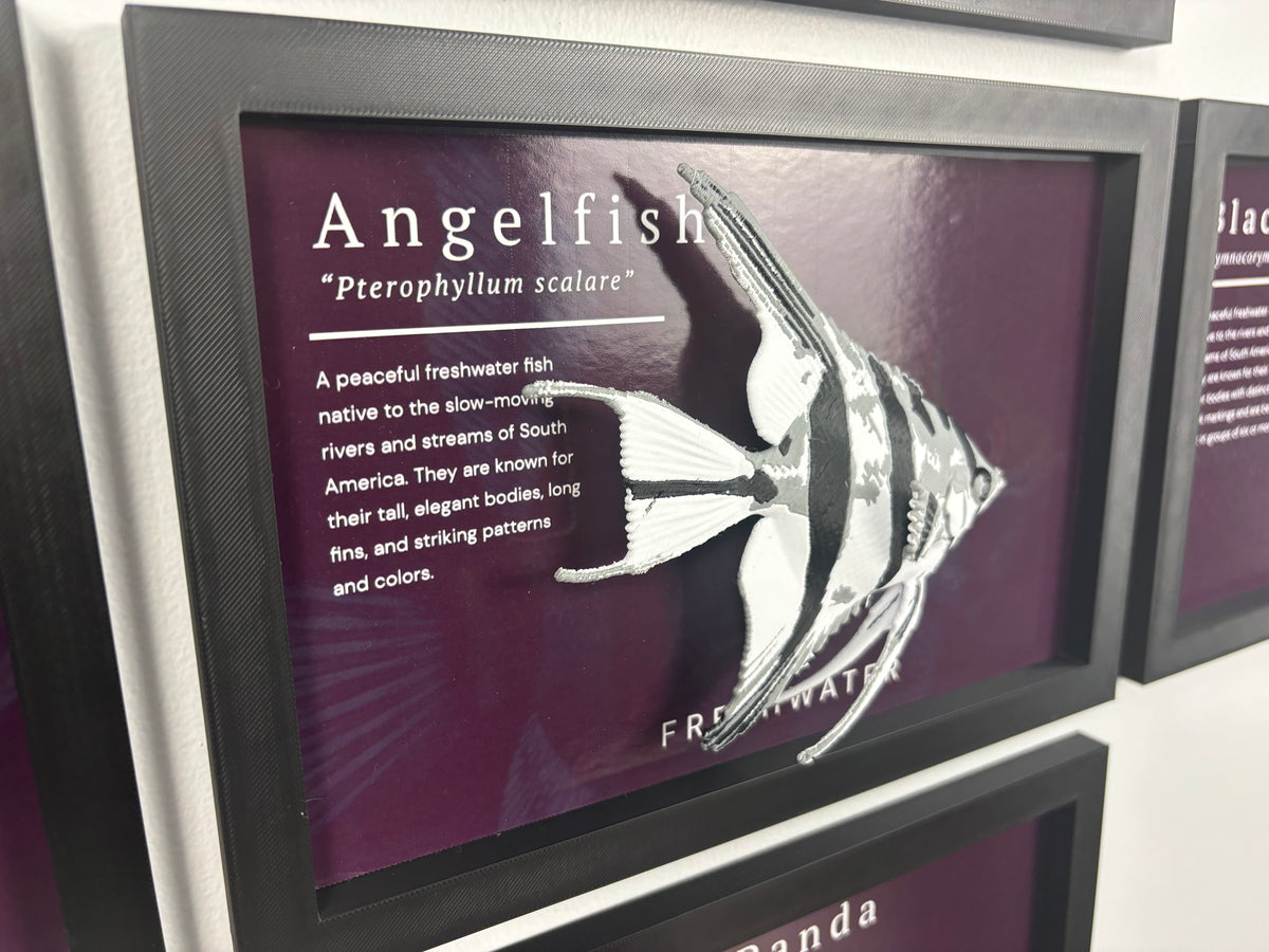 Angel Fish Wall Mount