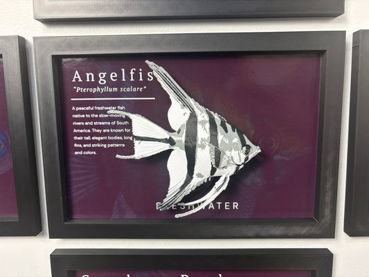 Angel Fish Wall Mount