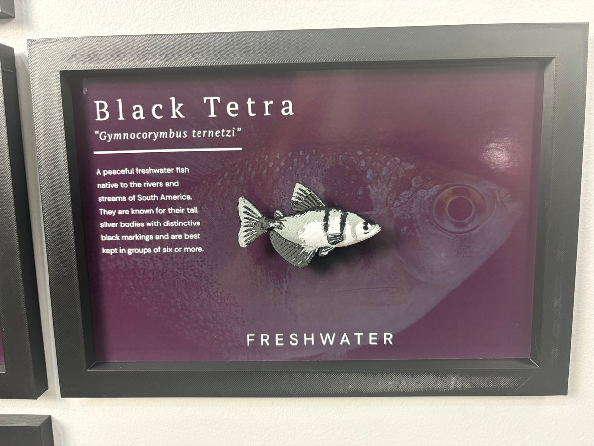 Black Tetra Wall Mount