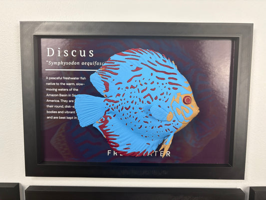Discus Wall Mount