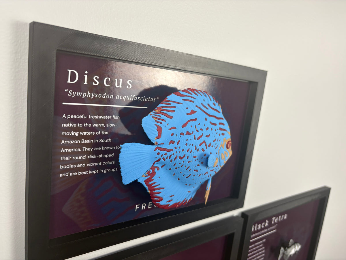 Discus Wall Mount