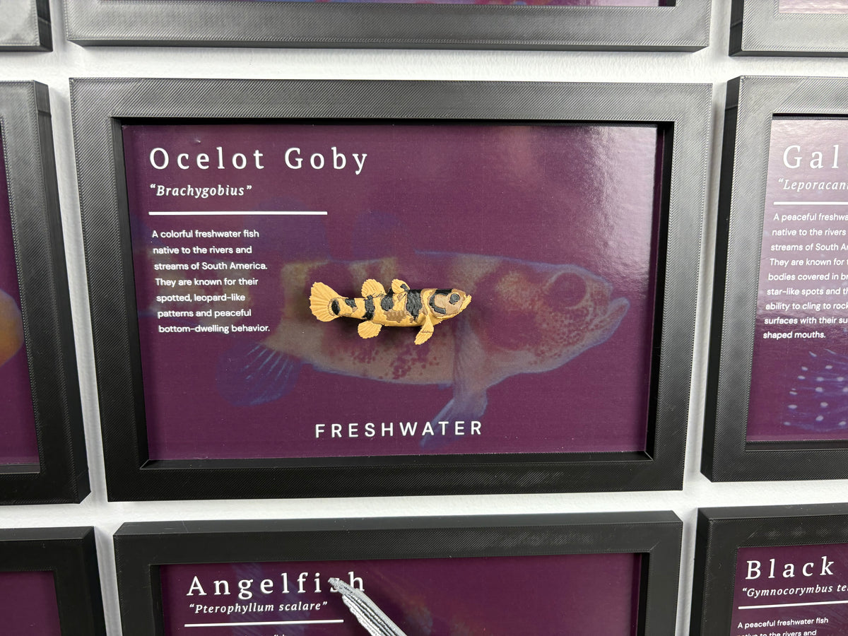 Ocelot Goby Wall Mount