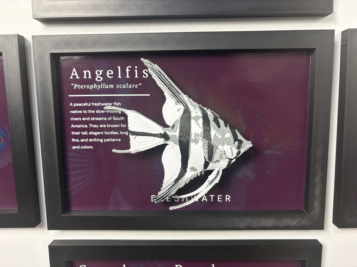 Angel Fish Wall Mount