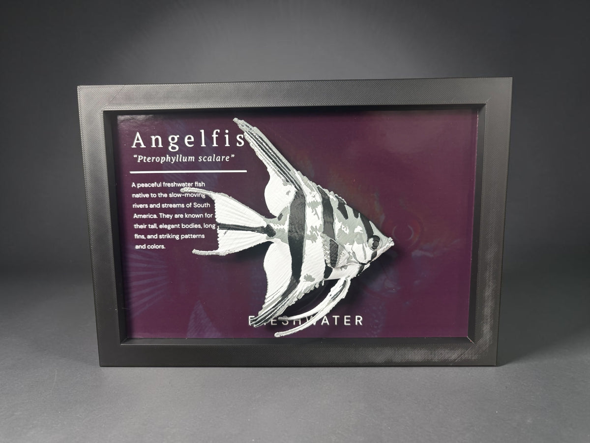 Angel Fish Wall Mount