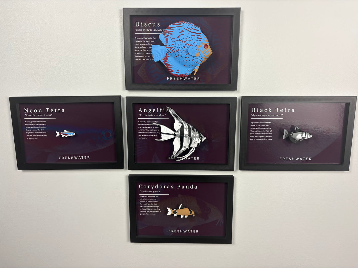 Discus Wall Mount