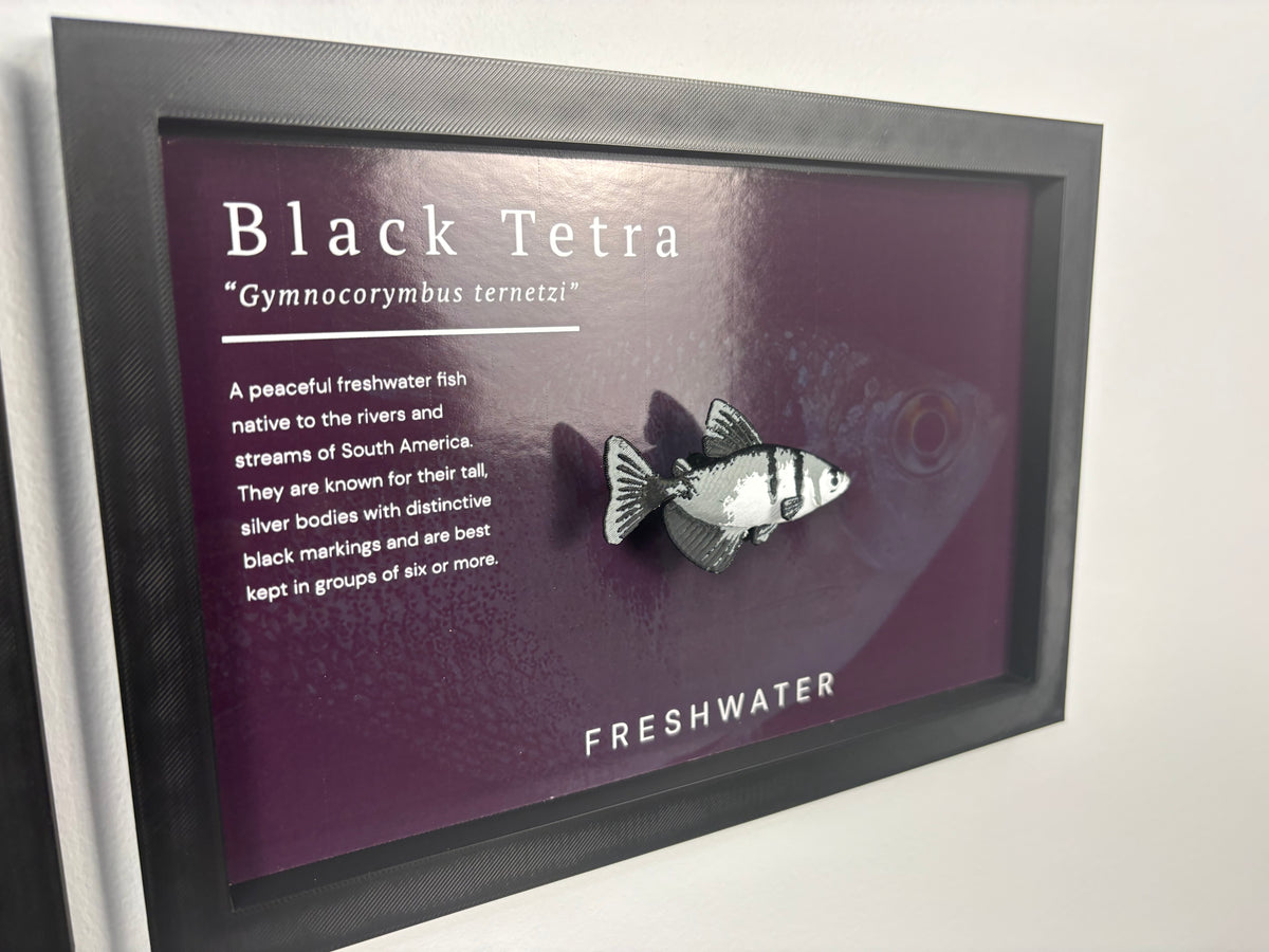 Black Tetra Wall Mount