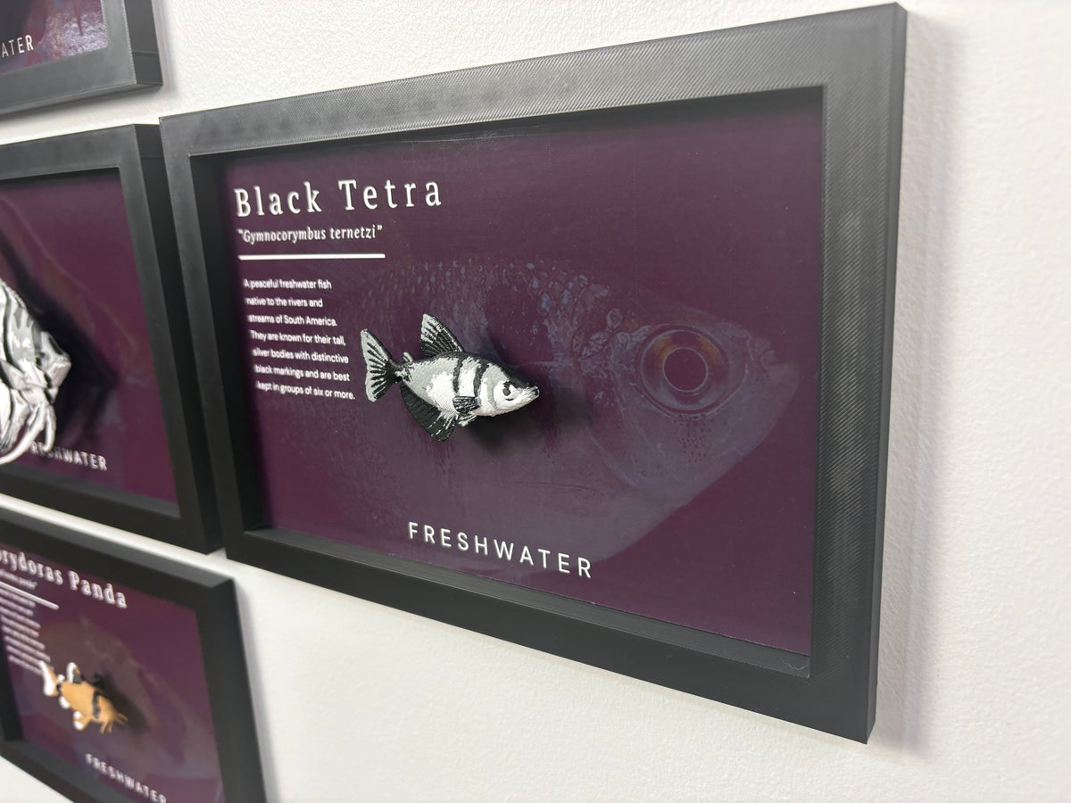 Black Tetra Wall Mount