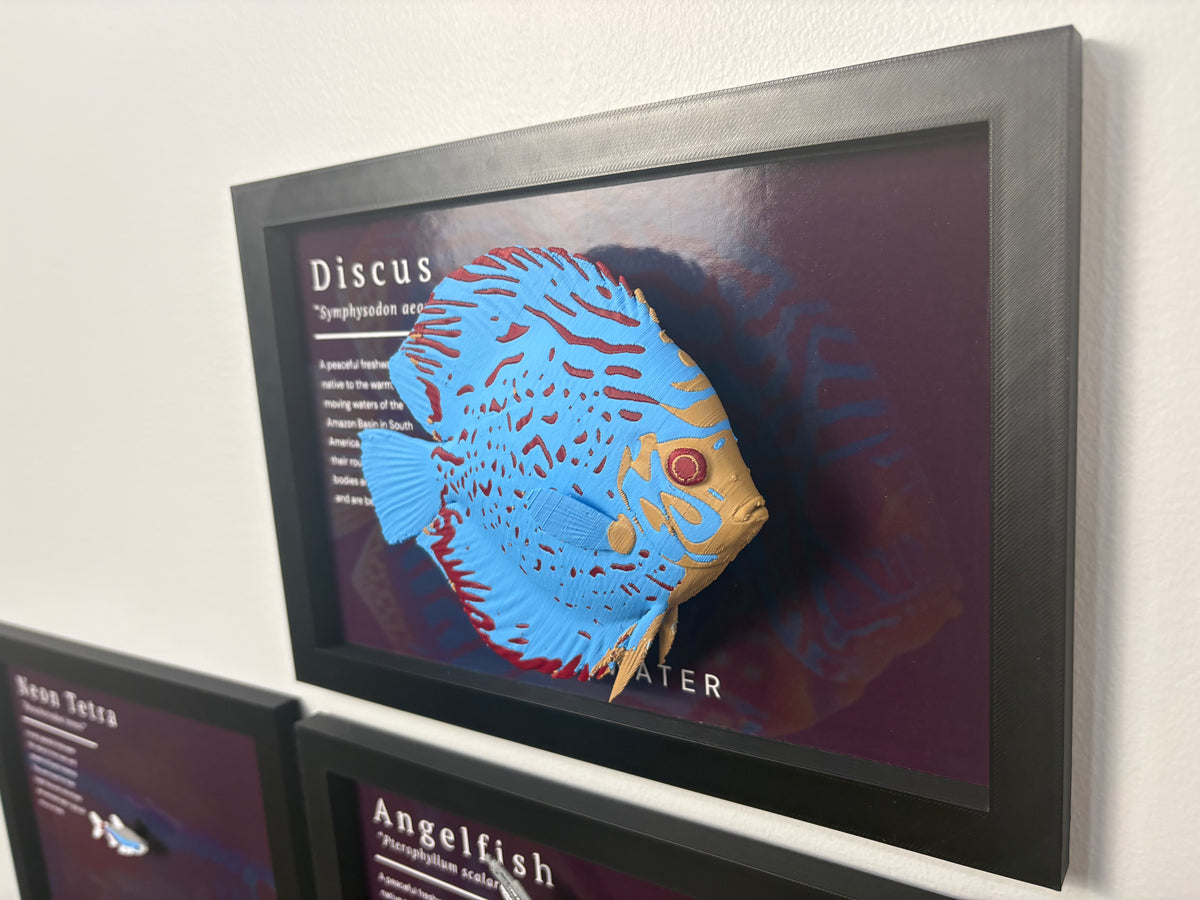 Discus Wall Mount