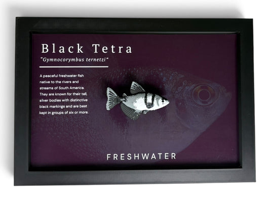 Black Tetra Wall Mount