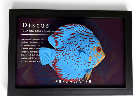 Discus Wall Mount