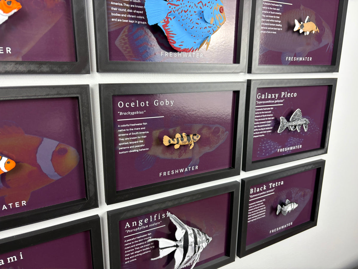 Ocelot Goby Wall Mount