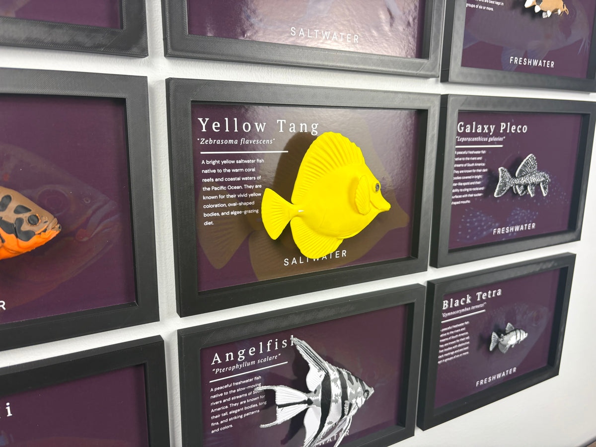 Yellow Tang Wall Mount