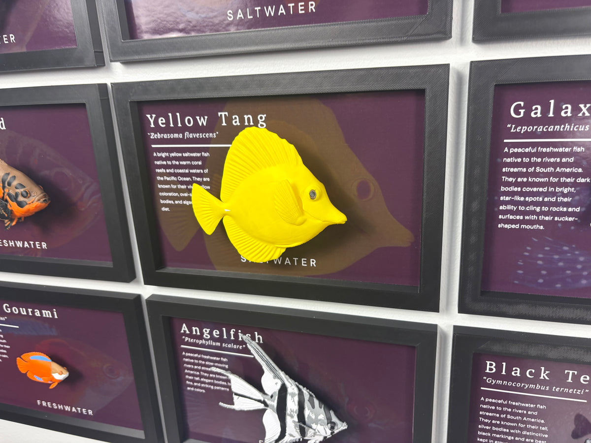 Yellow Tang Wall Mount