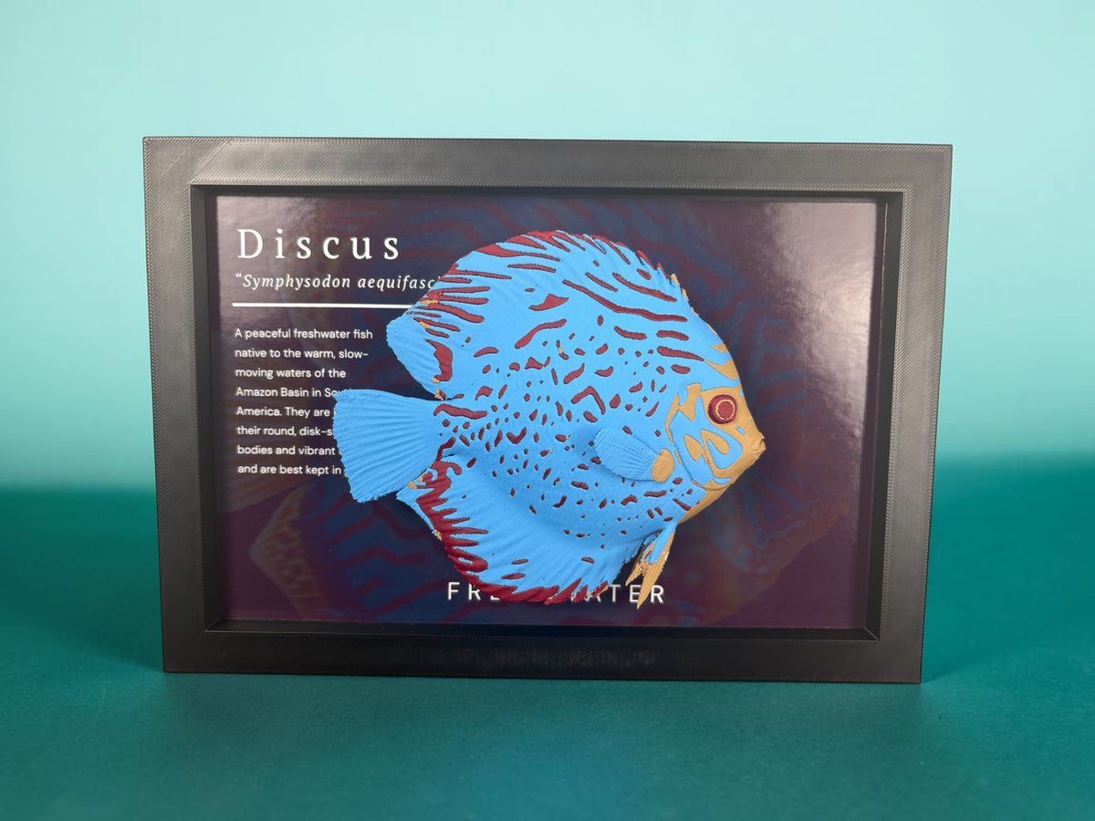 Discus Wall Mount