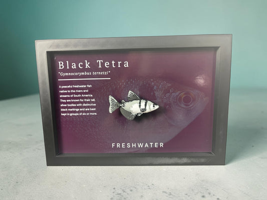 Black Tetra Wall Mount