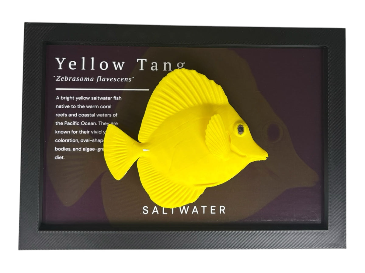 Yellow Tang Wall Mount